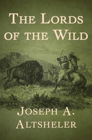 Cover of the book The Lords of the Wild by Greg Kihn
