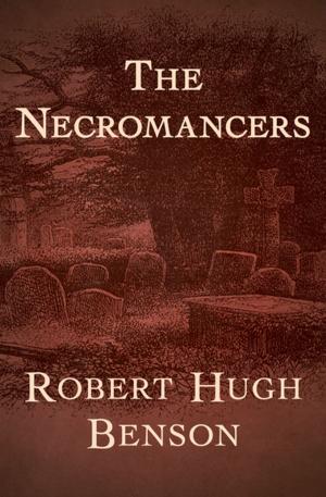 Book cover of The Necromancers