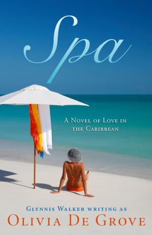 Cover of the book Spa by Karen Fredette