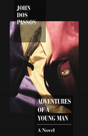 Cover of the book Adventures of a Young Man by Elizabeth Cooke