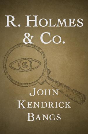 Cover of the book R. Holmes & Co. by Selmoore Codfish