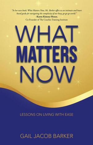 Cover of the book What Matters Now by Mark Earlix