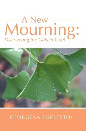 Cover of the book A New Mourning by Rhonda S. McBride