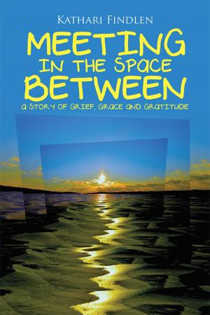 Cover of the book Meeting in the Space Between by Rossco