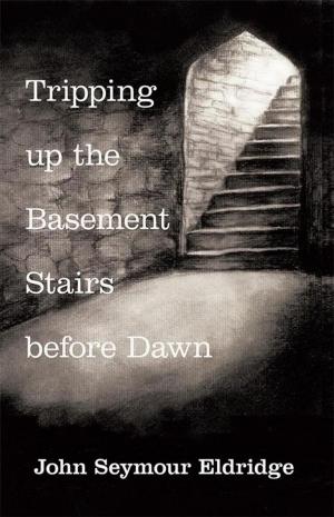 Book cover of Tripping up the Basement Stairs Before Dawn