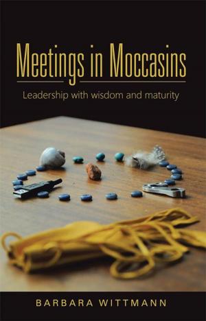 Cover of the book Meetings in Moccasins by Camille Moritz  Revelator of Light