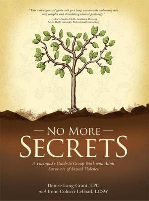 Cover of the book No More Secrets by Andrea K. Long