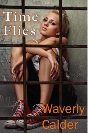 Cover of the book Time Flies by Patient Lee