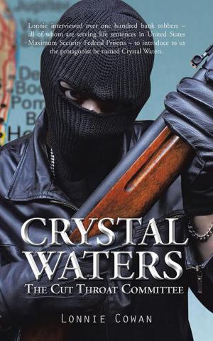 Cover of the book Crystal Waters by Judy McDonough