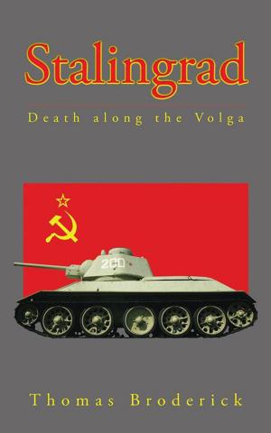 Cover of the book Stalingrad by Richard Dansky
