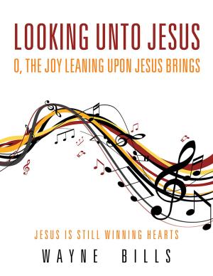 Cover of the book Looking Unto Jesus O, the Joy Leaning Upon Jesus Brings by Richard M. Dressler