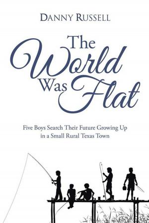 Cover of the book The World Was Flat by Dan Drewes, Richard Blunt