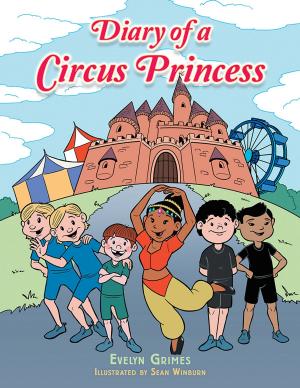 Cover of the book Diary of a Circus Princess by Janet Godwin Meyer