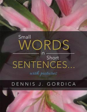 Cover of the book Small Words in Short Sentences...With Pictures by Emile Raymond