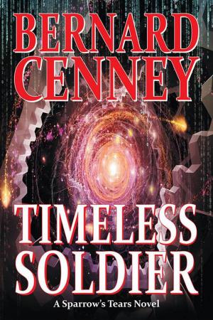 Cover of the book Timeless Soldier by John Raymond Gunson
