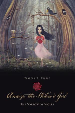 bigCover of the book Anaize, the Widow’S Girl by 