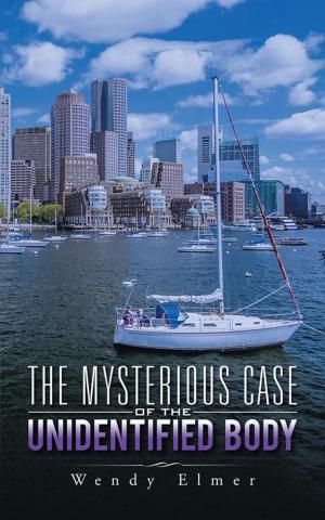 bigCover of the book The Mysterious Case of the Unidentified Body by 