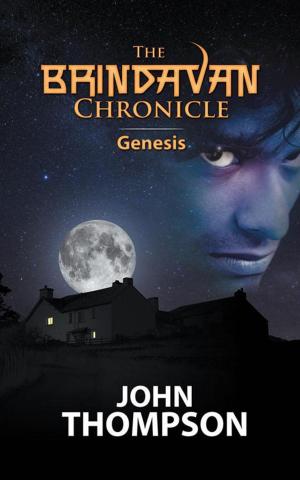 Cover of the book The Brindavan Chronicle by Angela Turner