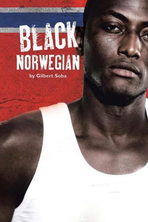 Cover of the book Black Norwegian by Jo Bird