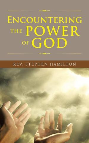 Cover of the book Encountering the Power of God by Petra Kluske