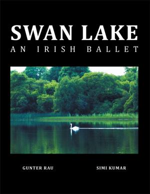 Cover of the book Swan Lake by Debra Joy Finley
