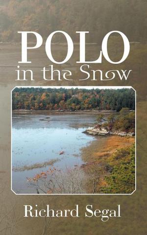 Cover of the book Polo in the Snow by Christopher Gergen