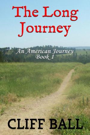 Book cover of The Long Journey - Christian Historical Fiction