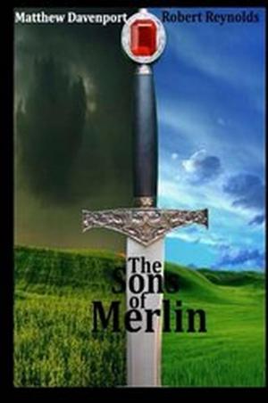 Book cover of The Sons of Merlin