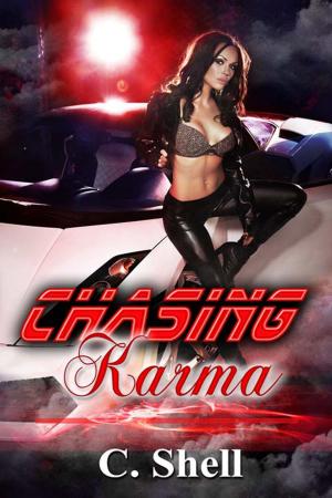 Cover of the book Chasing Karma by Barbara  Edwards