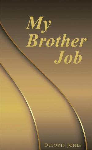 Cover of the book My Brother Job by Bobbe Bruckner Voelkel