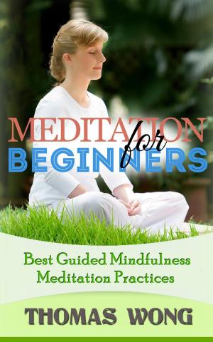 Cover of the book Meditation for Beginners: Best Guided Mindfulness Meditation Practices by Mike Little