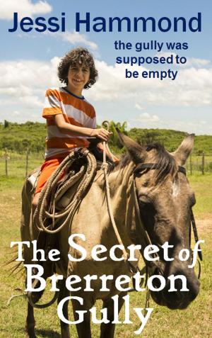 Cover of The Secret of Brerreton Gully