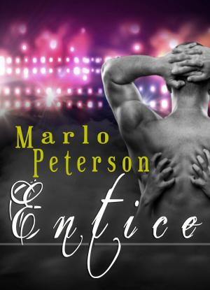 Cover of the book Entice by Cynthia Clement