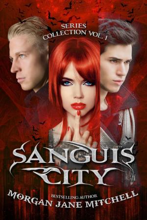 Cover of the book Sanguis City Series Collection Vol. 1 by Holly Zitting