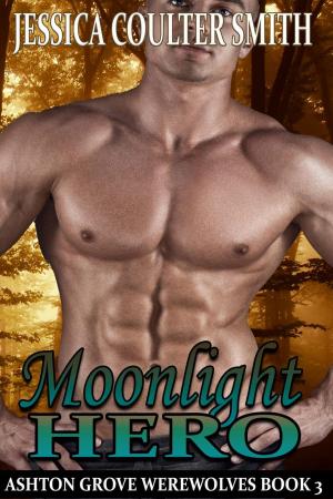 Book cover of Moonlight Hero