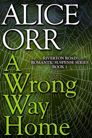 Book cover of A Wrong Way Home