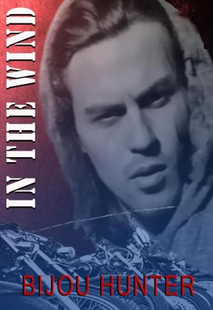 Cover of the book In the Wind by Lori Wilde