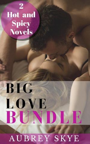 Cover of the book Big Love Bundle: 2 Hot and Spicy Novels by Mason Lee