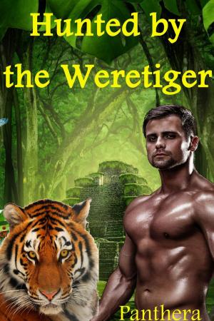 bigCover of the book Hunted by the Weretiger by 