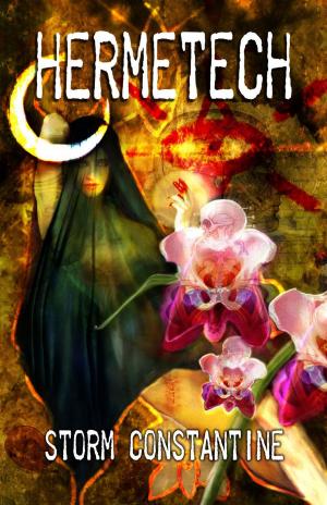Cover of the book Hermetech by Erynn Rowan Laurie