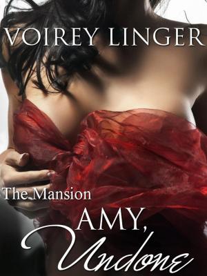 Cover of the book Amy, Undone by Christian LAMANT