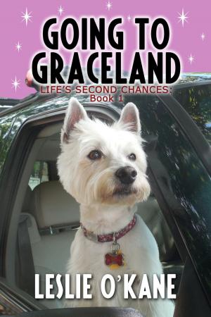 Cover of the book Going to Graceland by JJ Stuart