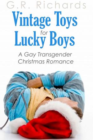 Book cover of Vintage Toys for Lucky Boys: A Gay Transgender Christmas Romance