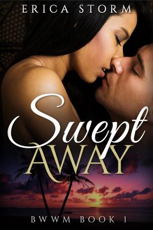 Cover of the book Swept Away book 1 by Lurea C. McFadden