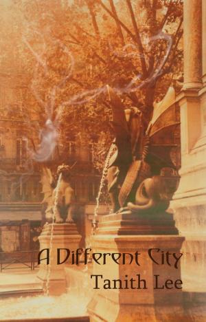 Cover of the book A Different City by Erynn Rowan Laurie