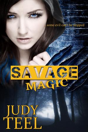 Cover of the book Savage Magic by Rich Feitelberg