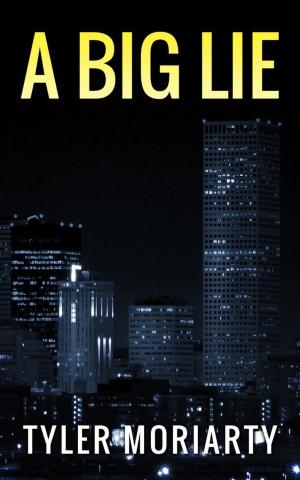 Cover of the book A Big Lie by Kim Knight, Didi Oviatt