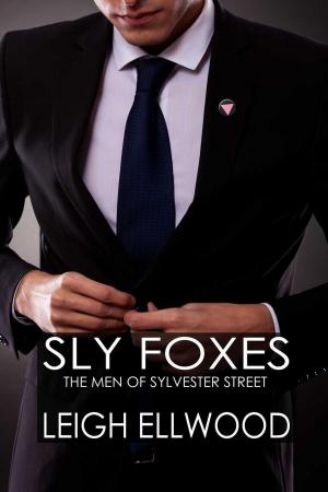 Cover of the book Sly Foxes by Richard C. Russell