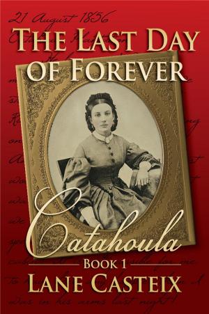Cover of the book The Last Day of Forever by D.D. Chant