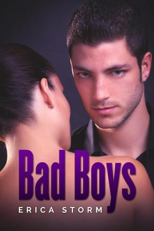 Cover of the book Bad Boys by Delaney Starr-West